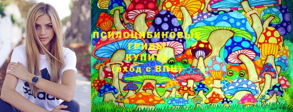 стафф Магадан