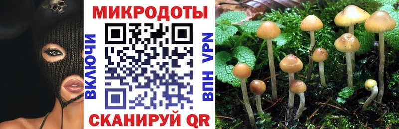 Галлюциногенные грибы мицелий  Наволоки 